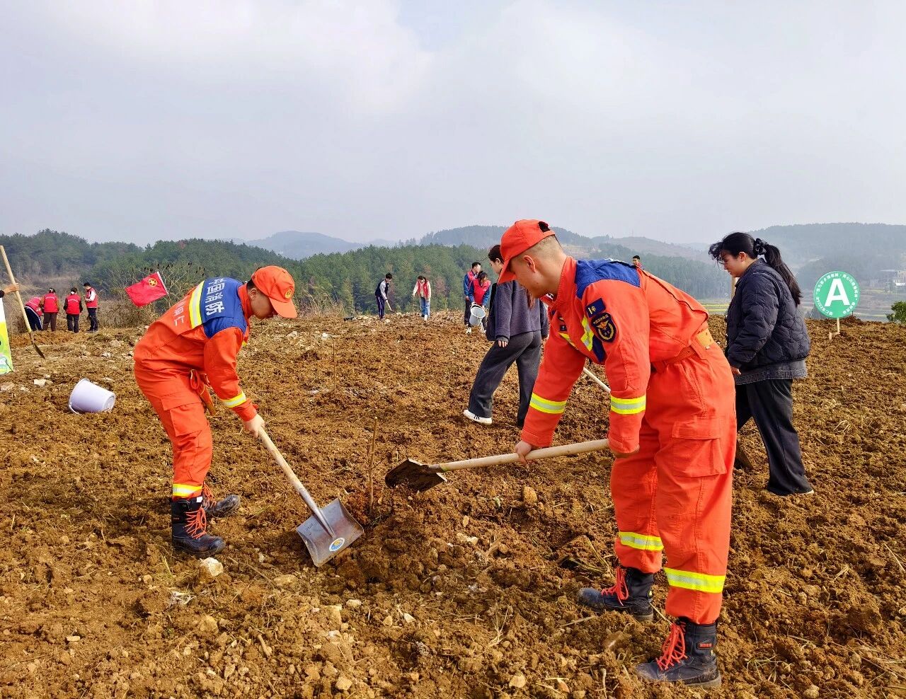 1773364736619913.jpg 微信图片_2026-03-13_091755_159.jpg