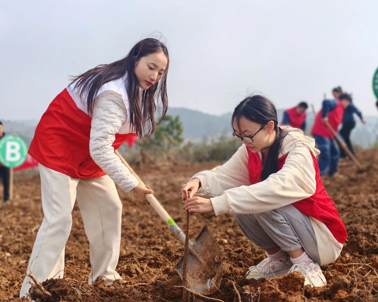 1773364786634863.jpg 微信图片_2026-03-13_091758_375.jpg