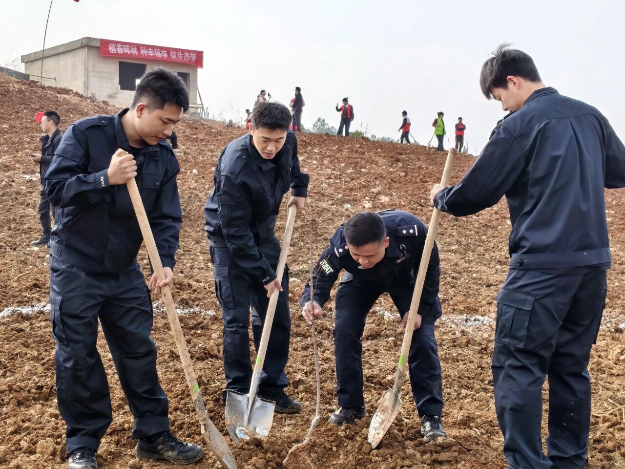 1773364805696788.jpg 微信图片_2026-03-13_091801_728.jpg