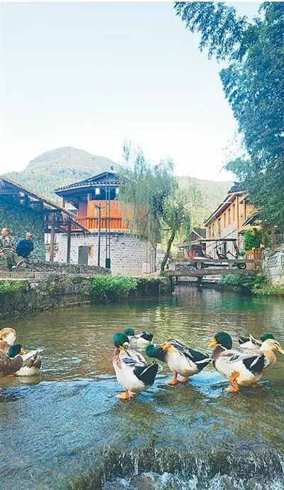 1773639762302835.jpg 微信图片_2026-03-16_134029_791.jpg