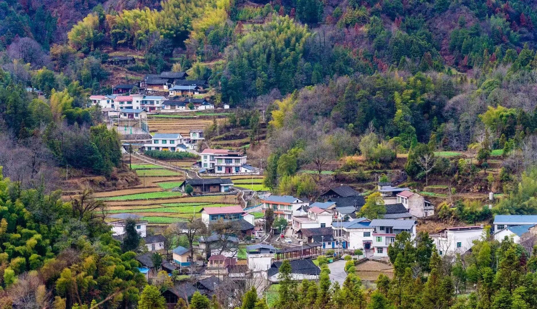 1773967520869528.jpg 微信图片_2026-03-20_084528_529.jpg