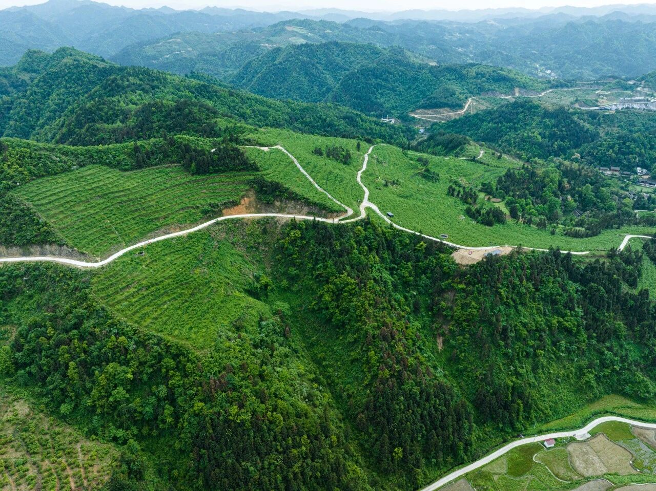 1773967533617254.jpg 微信图片_2026-03-20_084532_634.jpg