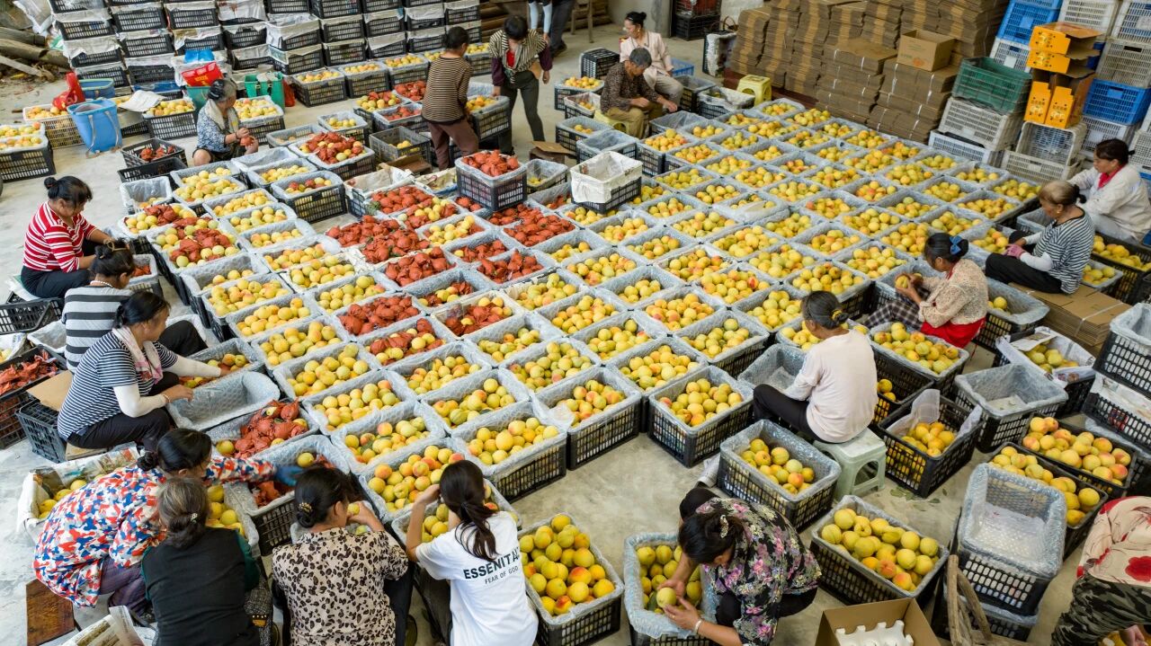 1773967612212854.jpg 微信图片_2026-03-20_084535_910.jpg