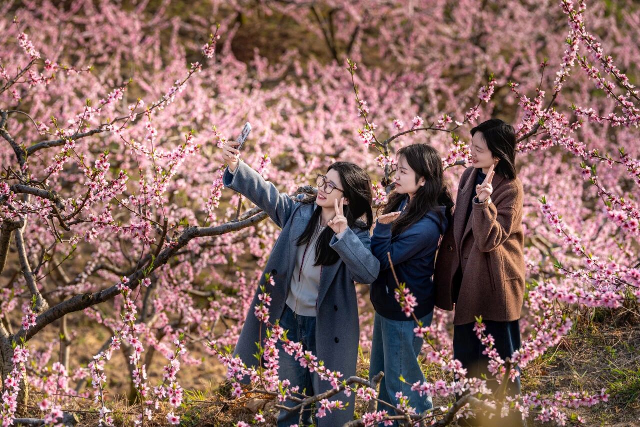 1773967627520570.jpg 微信图片_2026-03-20_084539_877.jpg