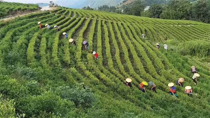 1773969464686870.jpg 微信图片_2026-03-20_091907_029.jpg