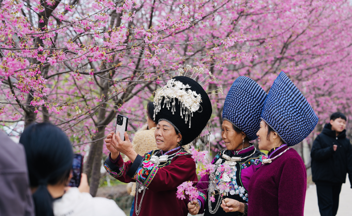 1773969509516679.png 微信图片_2026-03-20_091921_894.png