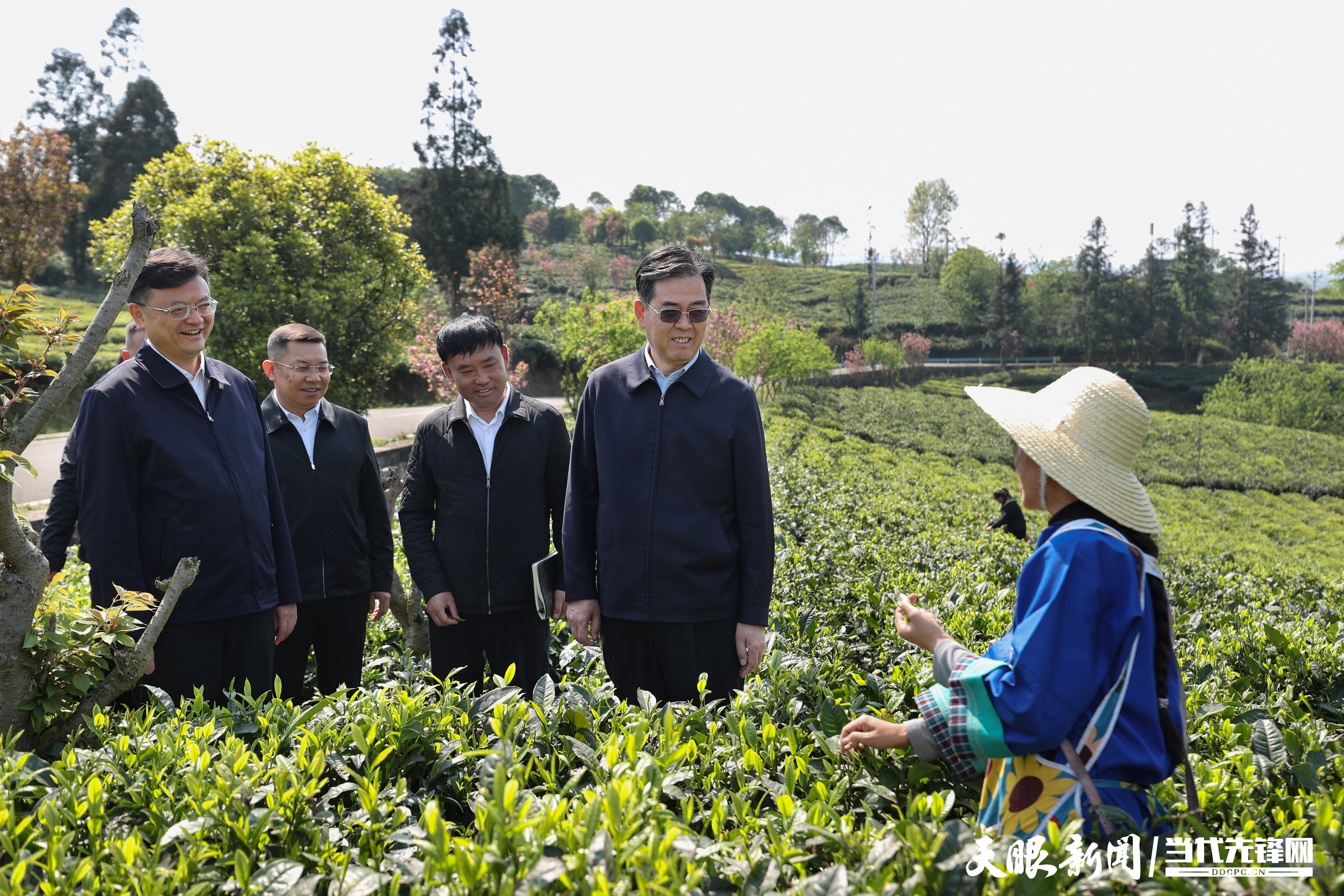 1774415075351773.jpg 微信图片_2026-03-25_130240_083.jpg