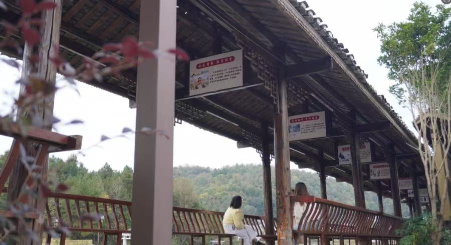 1774578922653189.jpg fc011150e50903db466b77c840ab2c51_70600.jpg