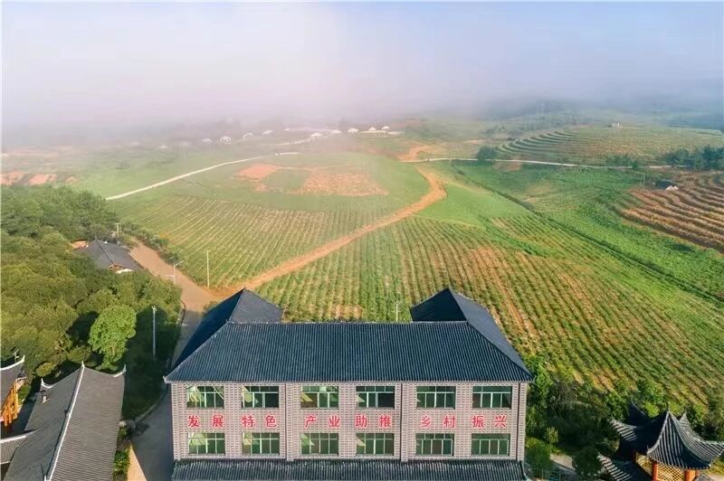 1774918028685155.jpg 微信图片_2026-03-31_084621_765.jpg