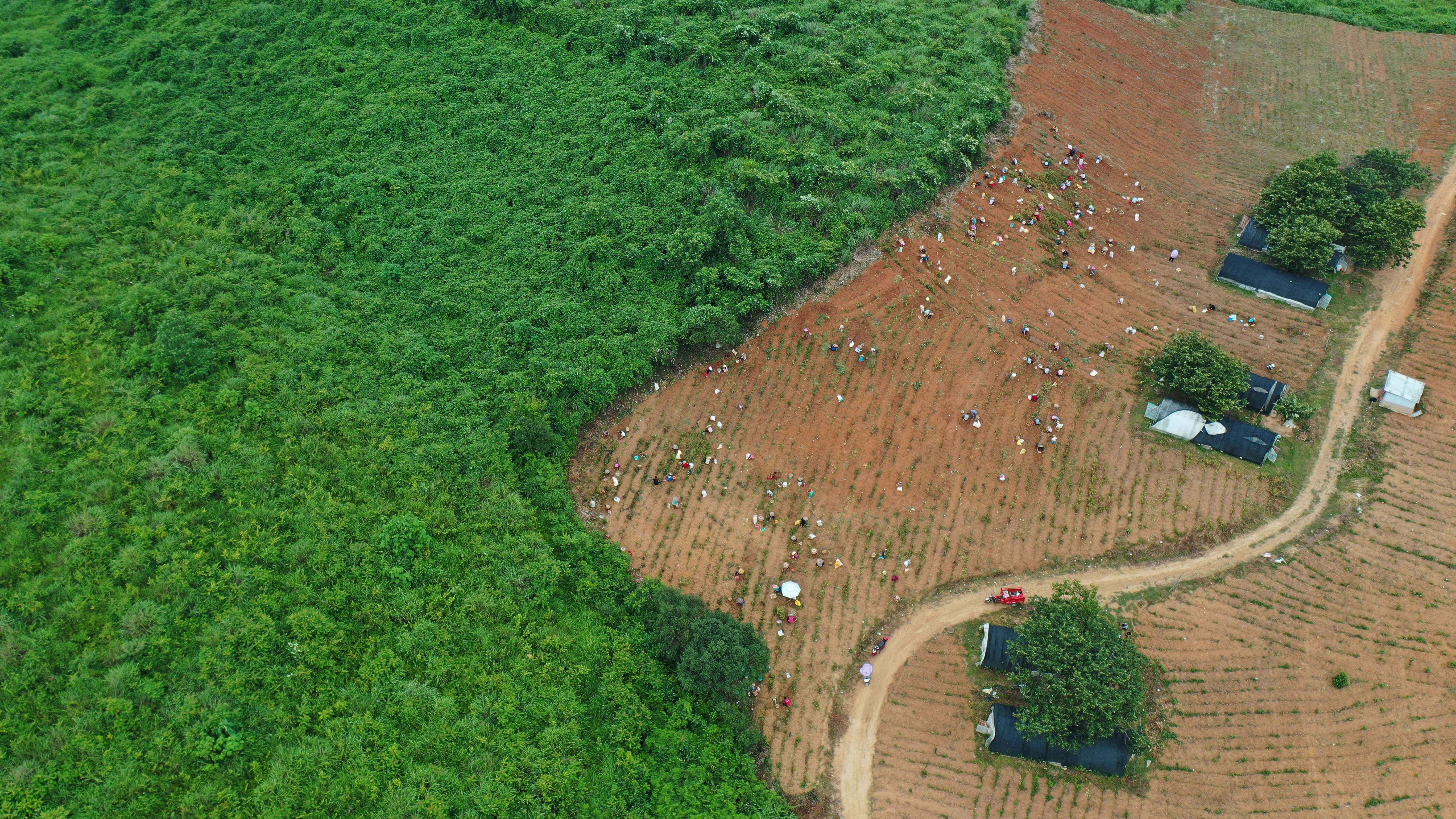 1774918046432932.jpg 微信图片_2026-03-31_084624_330.jpg