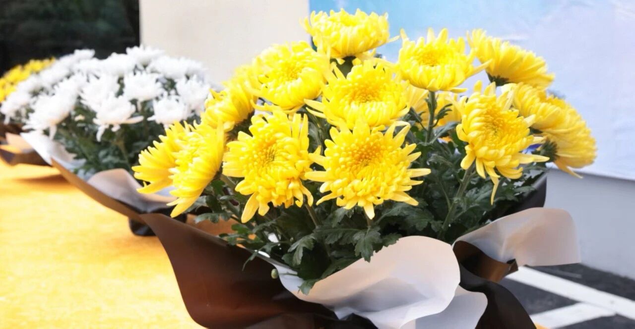 1775205038491936.jpg 微信图片_2026-04-03_163111_072.jpg