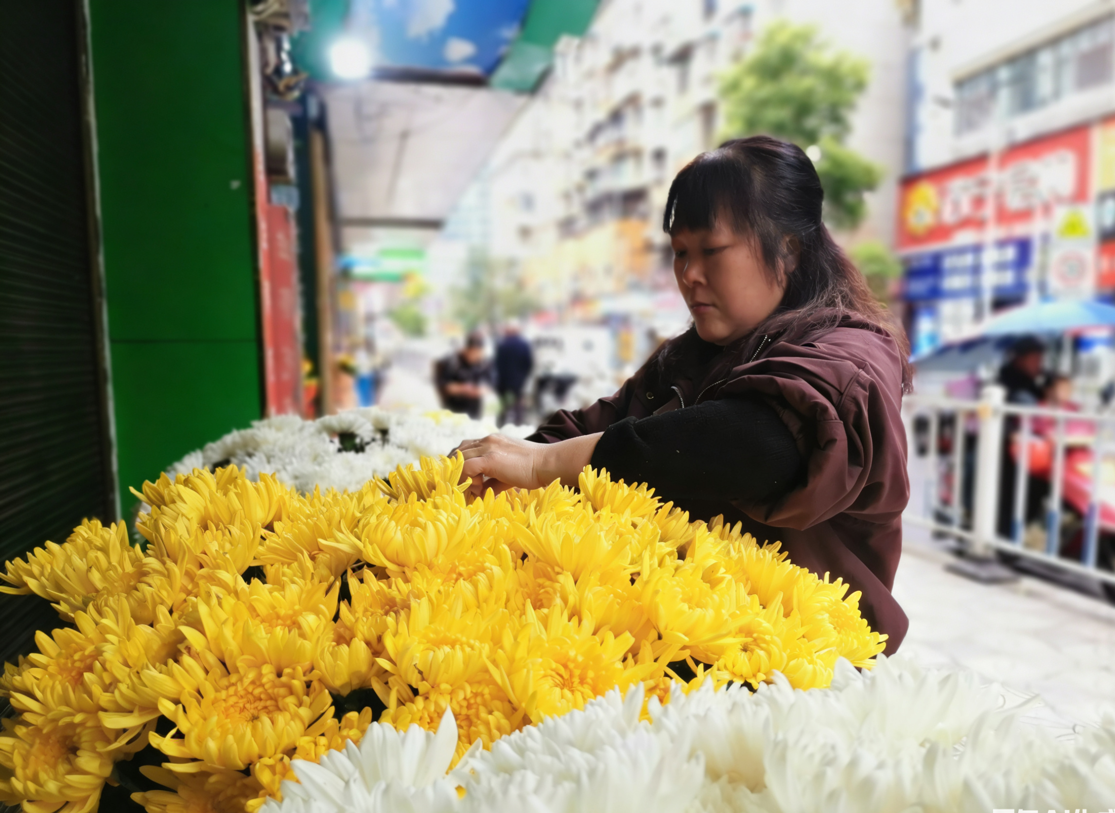 1775205047543474.png 微信图片_2026-04-03_163117_433.png