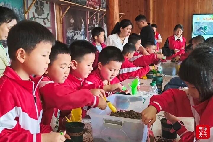 微信图片_2026-05-11_105430_195.jpg