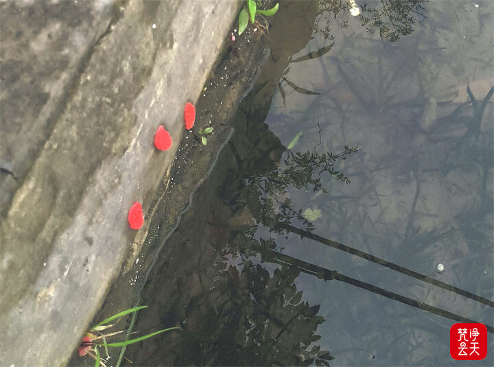 微信图片_2026-05-18_122057_833.jpg