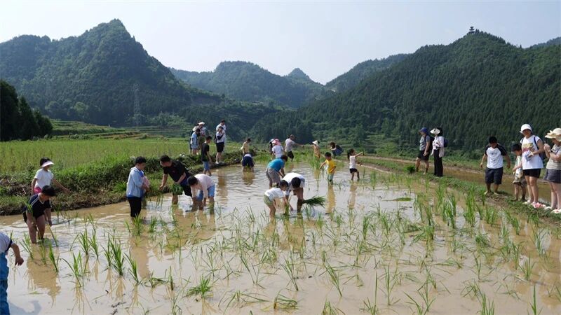 微信图片_2026-06-08_154833_511.jpg
