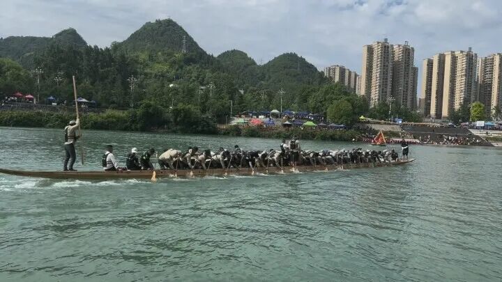 微信图片_2026-06-08_164129_853.jpg