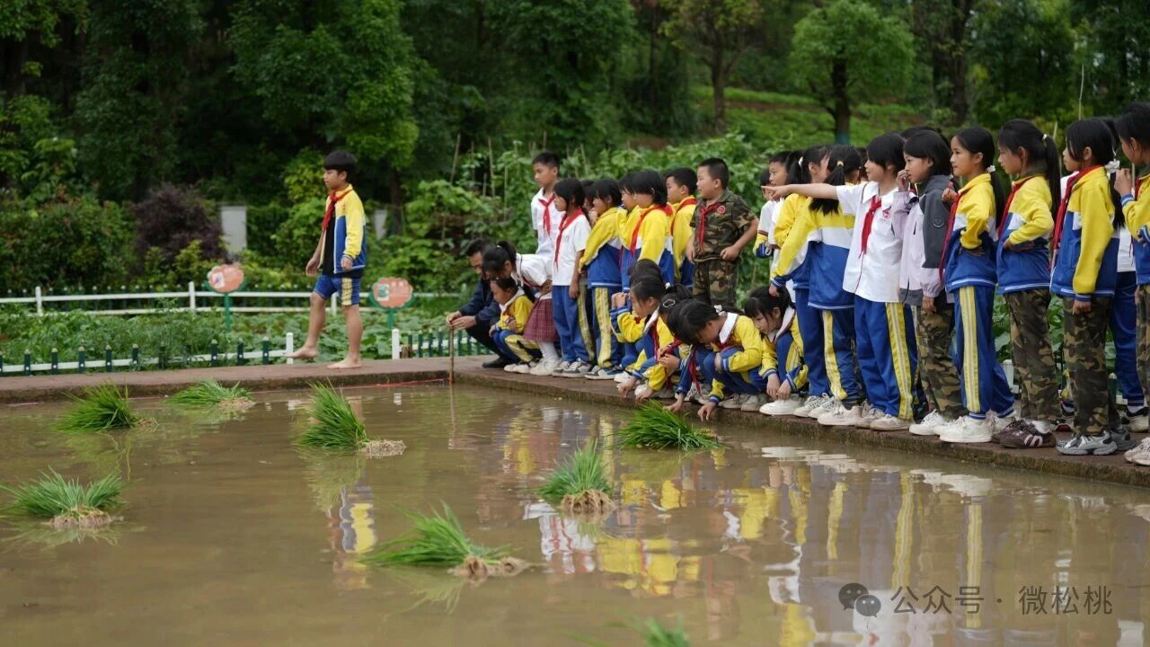 微信图片_2026-06-11_112234_404.jpg