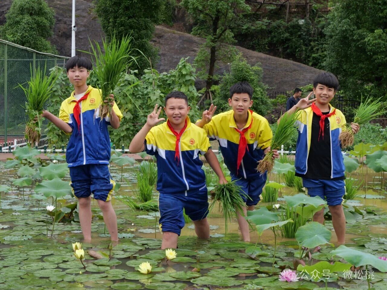 微信图片_2026-06-11_112246_812.jpg