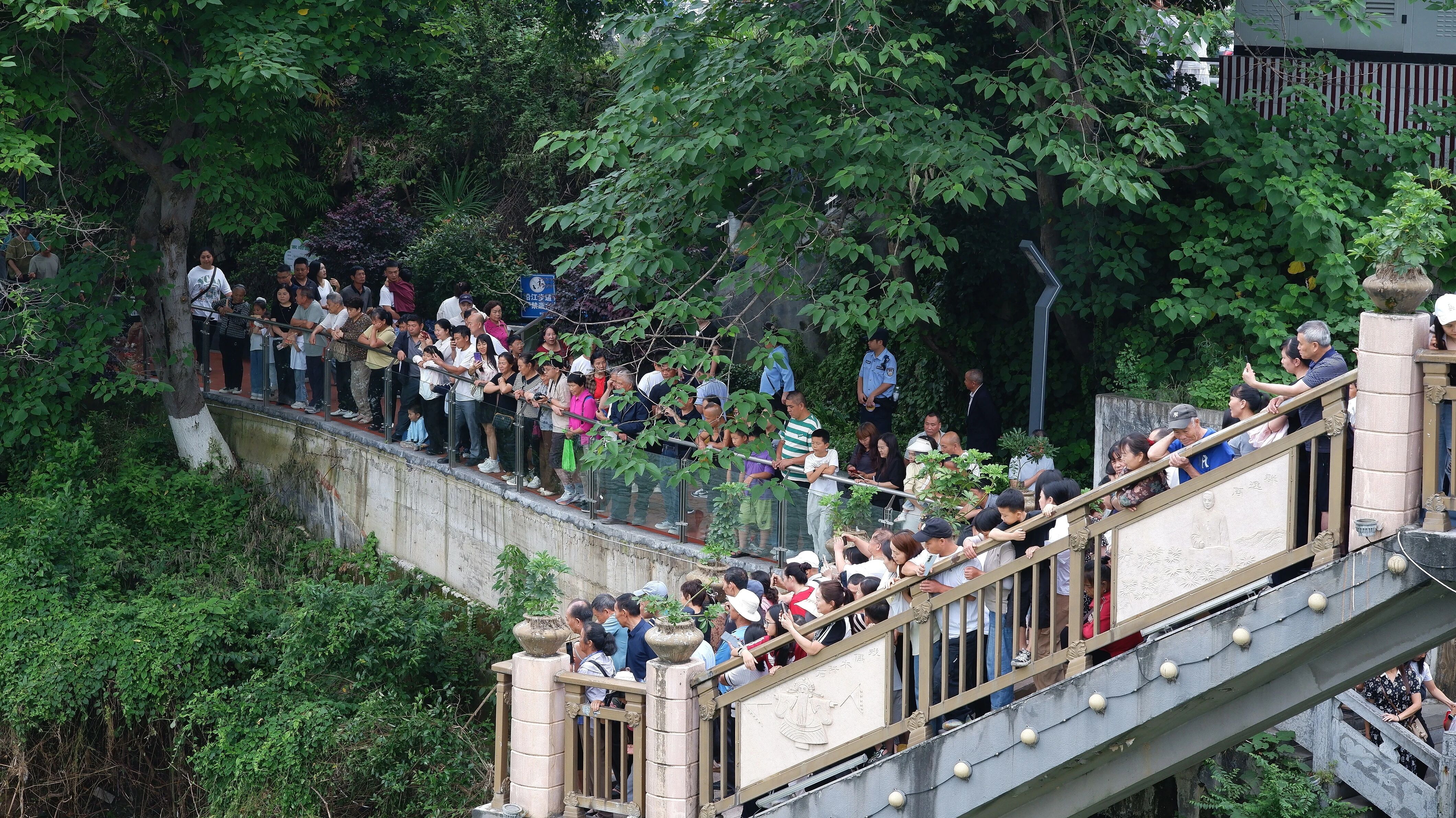 1781527501993276.jpg 微信图片_2026-06-15_204442_919.jpg