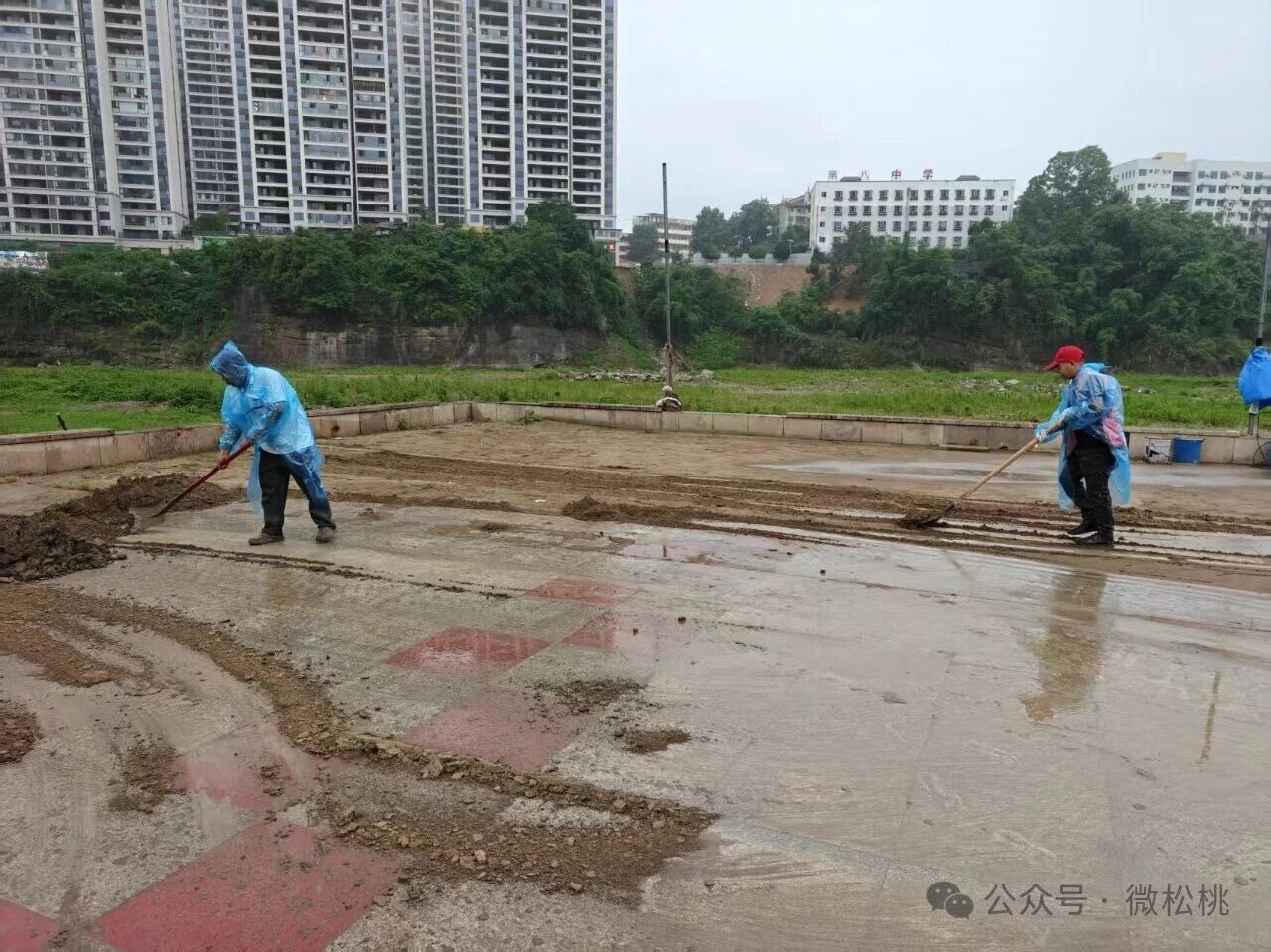 微信图片_2026-07-01_102332_359.jpg