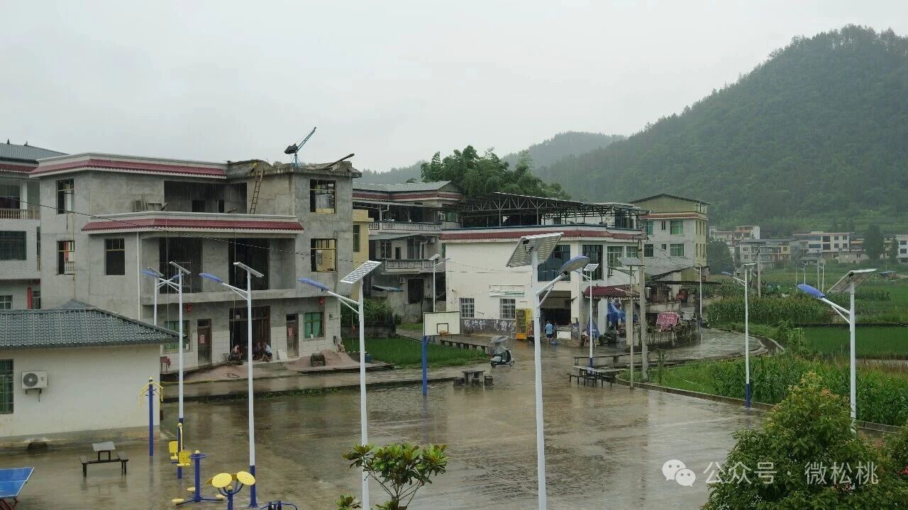 微信图片_2026-07-06_103827_464.jpg