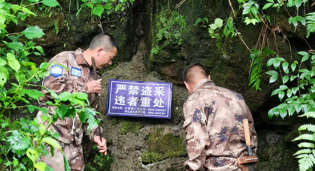 微信图片_2026-07-10_104853_007.png