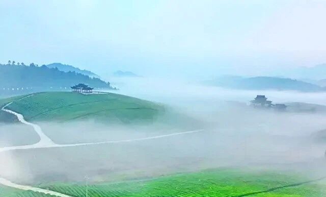 微信图片_2026-07-12_222748_040.jpg