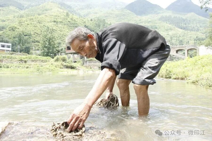微信图片_2026-07-27_202337_960.jpg