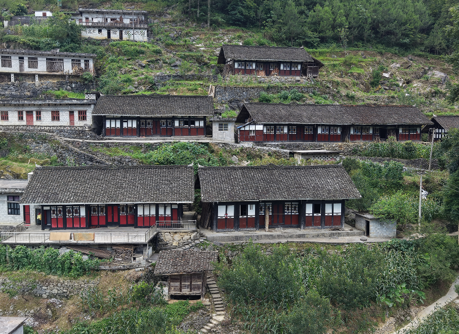 微信图片_2026-07-28_115539_945.png