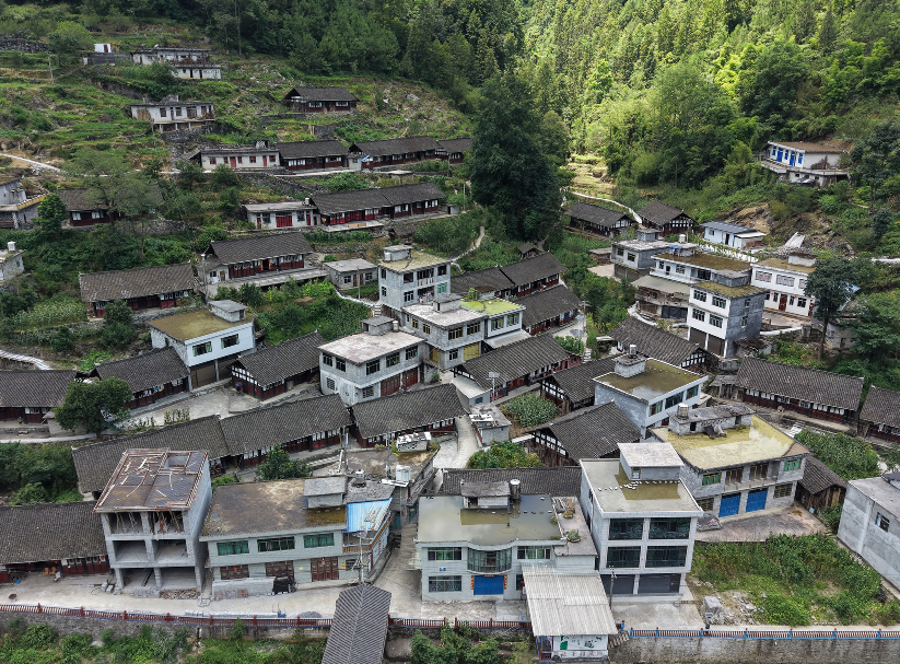 微信图片_2026-07-28_115535_030.png