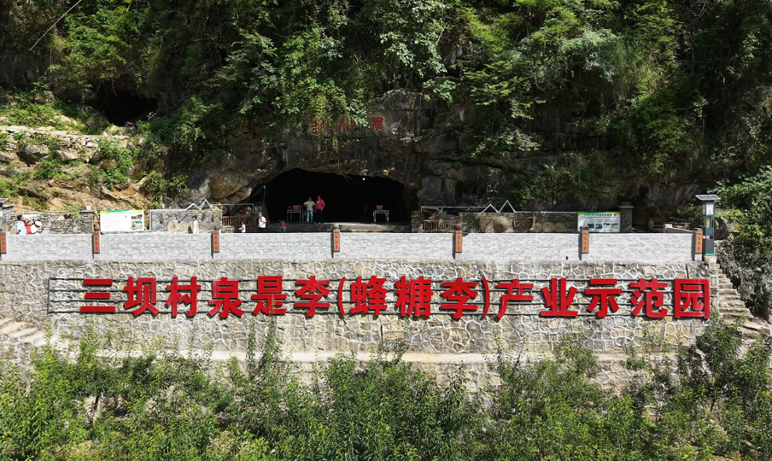 微信图片_2026-07-28_115544_246.png