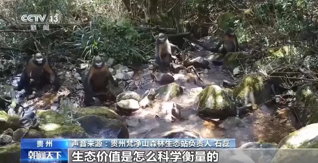 微信图片_2026-07-31_095614_735.jpg