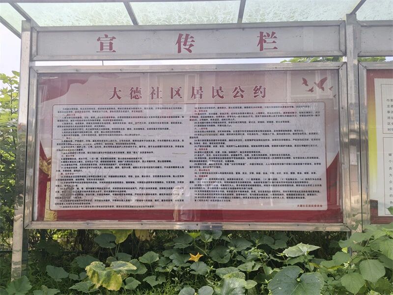 微信图片_2026-08-03_180437_226.jpg