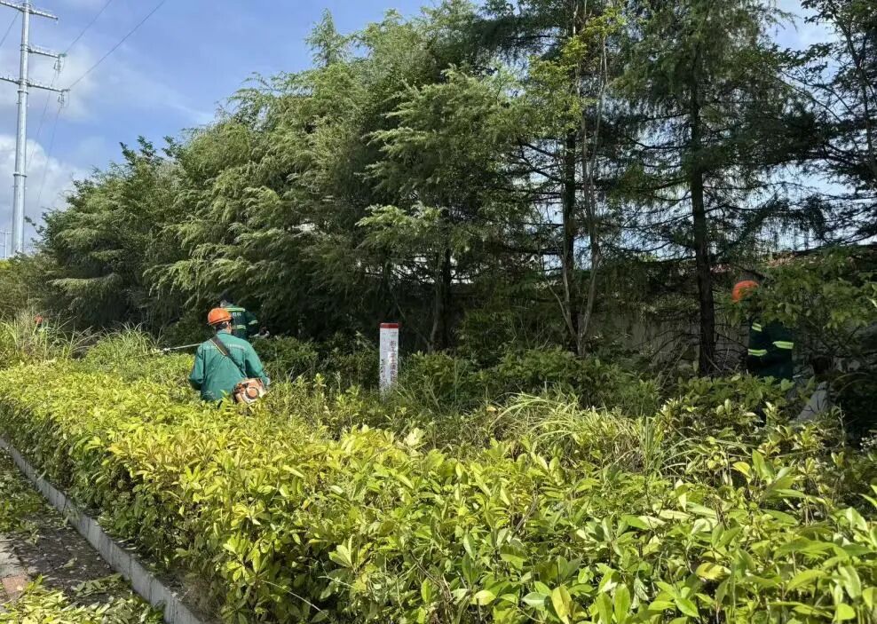 微信图片_2026-08-10_103316_407.jpg