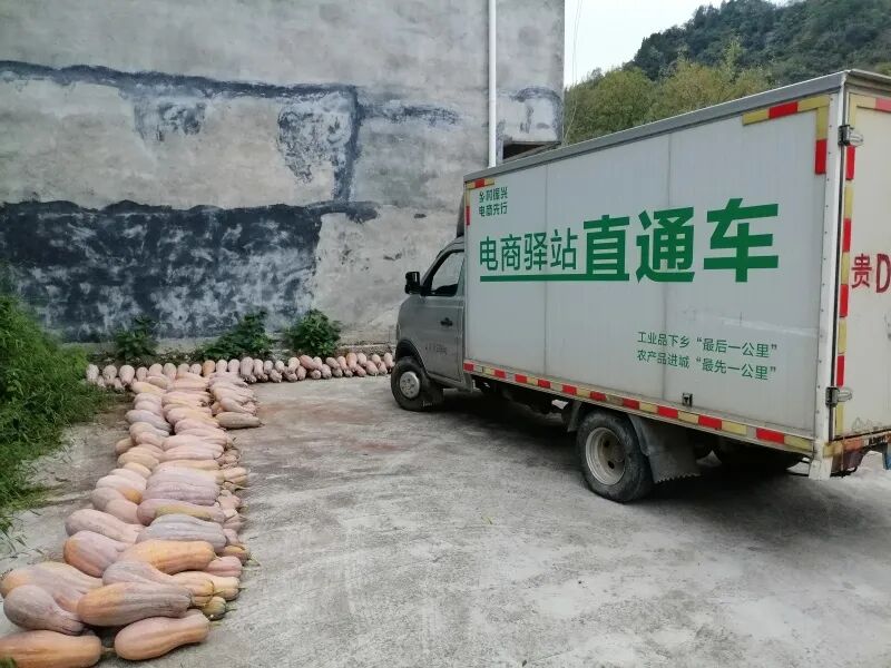 微信图片_2026-08-11_091056_369.jpg