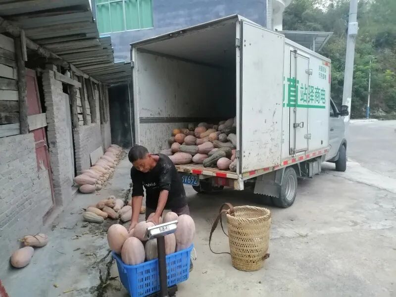 微信图片_2026-08-11_091103_129.jpg