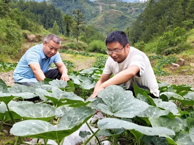 微信图片_2026-08-11_091105_105.jpg