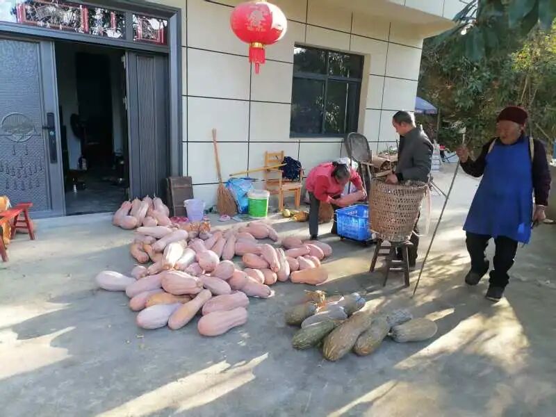 微信图片_2026-08-11_091107_258.jpg