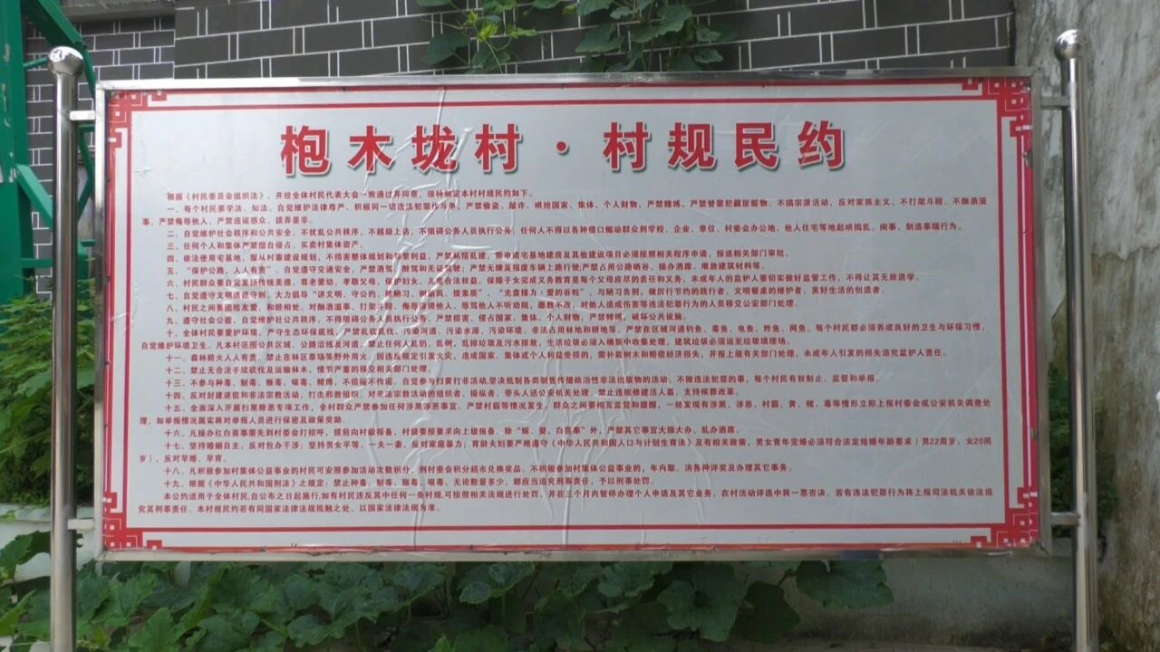 微信图片_2026-08-26_162842_776.jpg