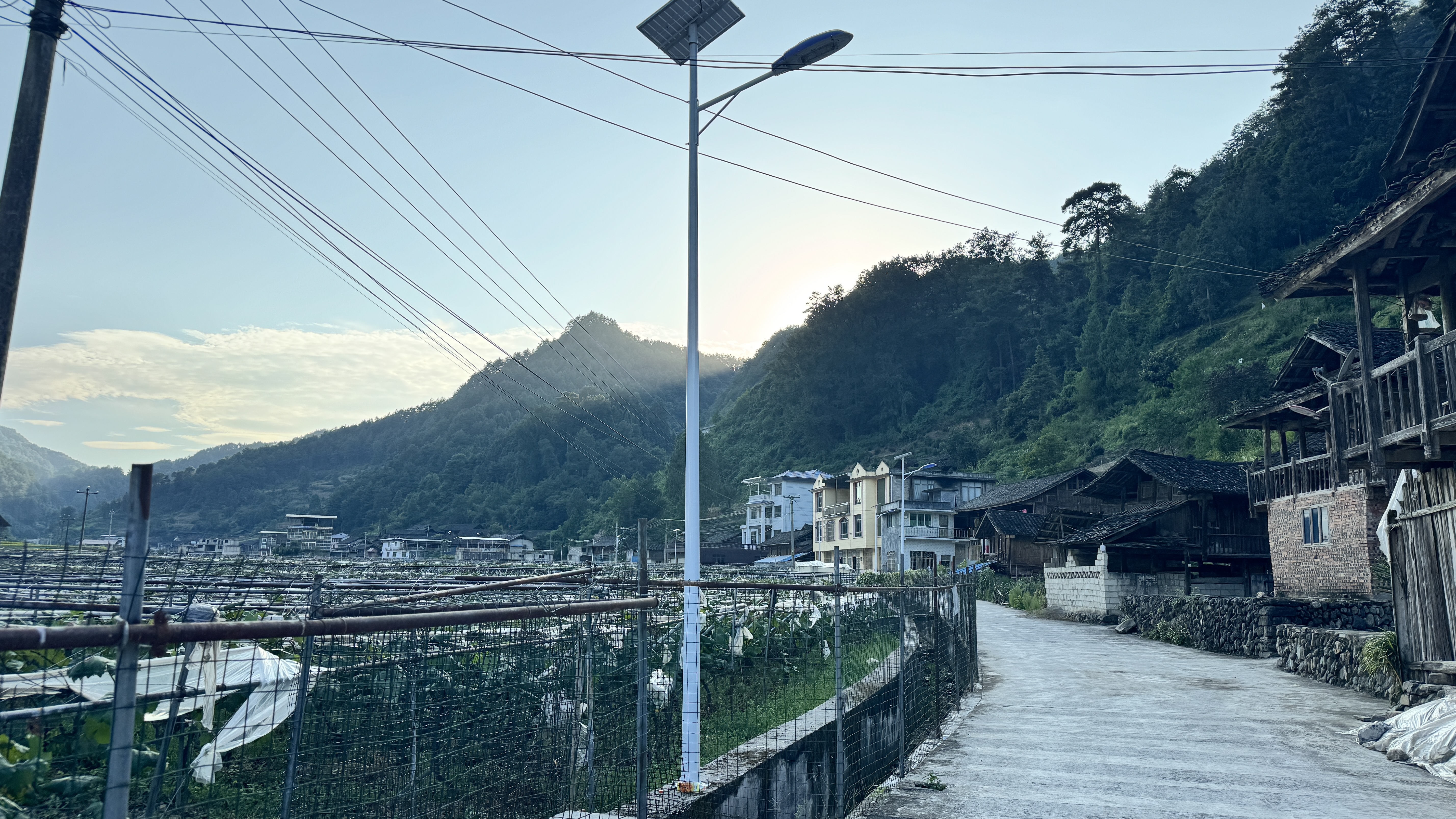微信图片_2026-09-03_175511_517.jpg