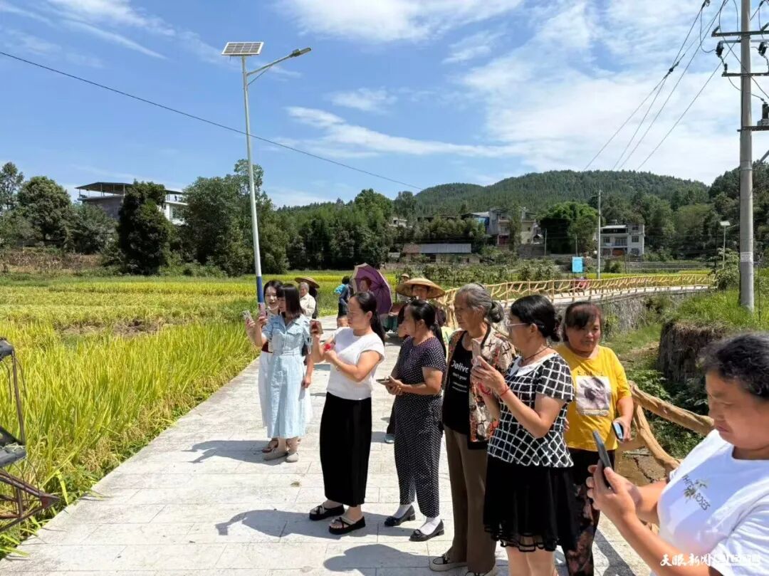 1788859249512693.jpg 微信图片_2026-09-08_171029_729.jpg