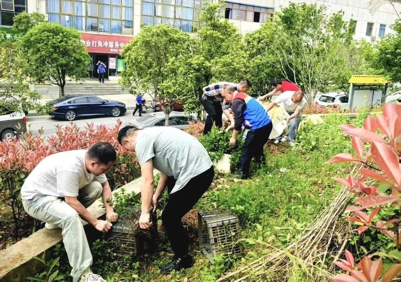 1790564203759037.jpg 微信图片_2026-09-28_110049_162.jpg