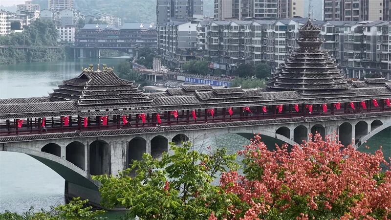 微信图片_2026-10-12_201005_904.jpg
