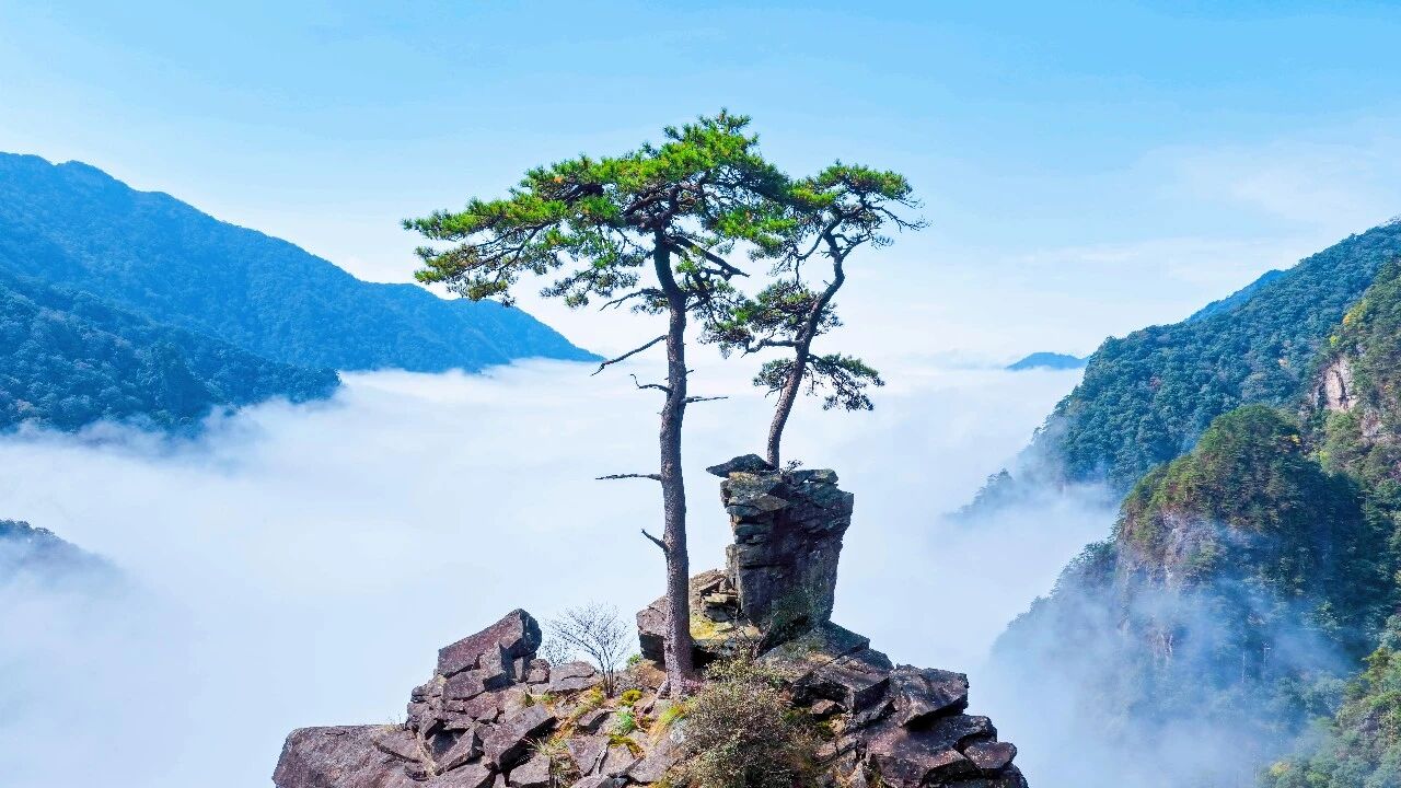 微信图片_2026-10-27_151019_671.jpg