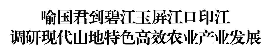 668b20177fbae2ffdb8f3f439292a2cf.png