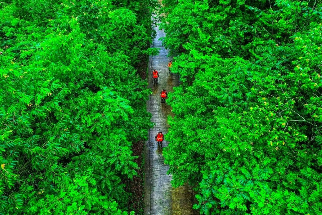 1760320698563937.png image.png