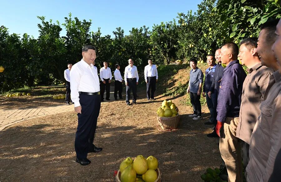 1762826562685062.jpg 微信图片_2025-11-11_100117_998.jpg