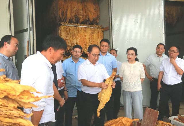 住铜省政协委员视察“强村富民”行动推进情况