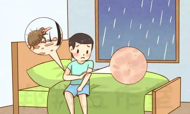 008.png