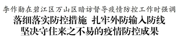 d3fb1f51-826c-4a30-ad1a-dcd97fd18cf1.webp.jpg